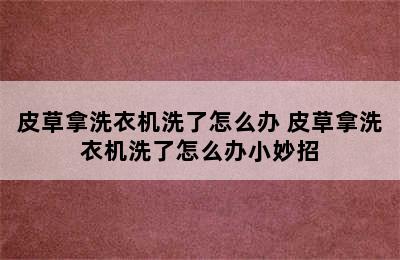 皮草拿洗衣机洗了怎么办 皮草拿洗衣机洗了怎么办小妙招